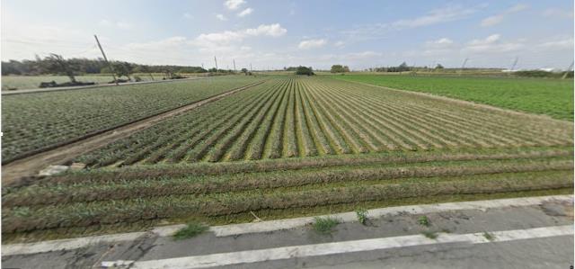 雲林法拍農地-8