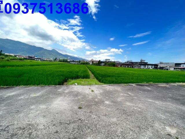 宜蘭礁溪農地-10