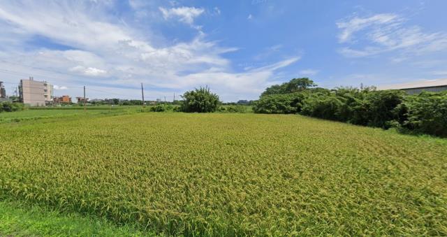 中壢農地-1