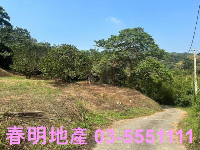 苗栗三灣農地-10