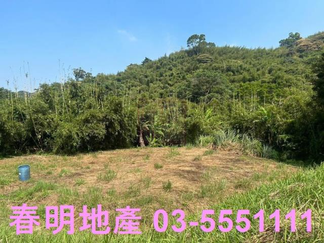 苗栗三灣農地-7