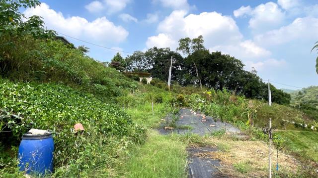 新竹寶山農地-13