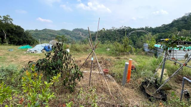 新竹寶山農地-10