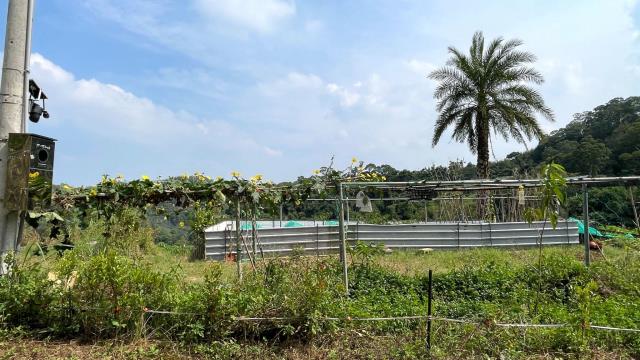 新竹寶山農地-4