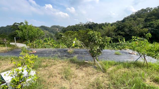 新竹寶山農地-6