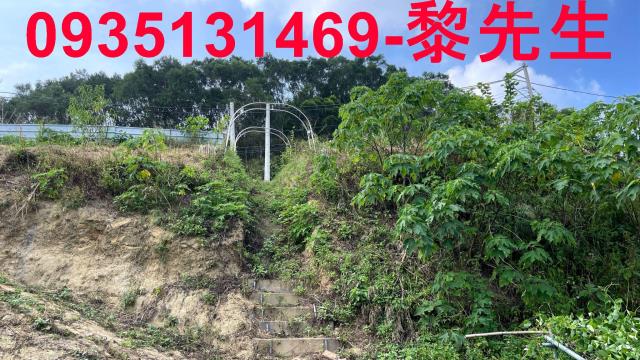 新竹寶山農地-15