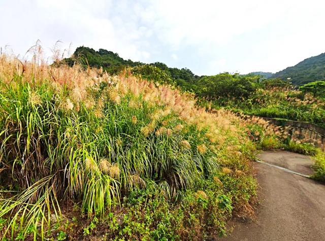 新北鶯歌工業地-1