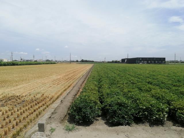雲林斗南農地-9