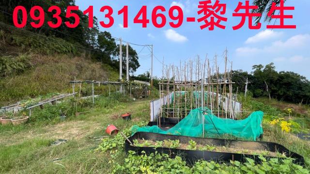 寶山農地-2