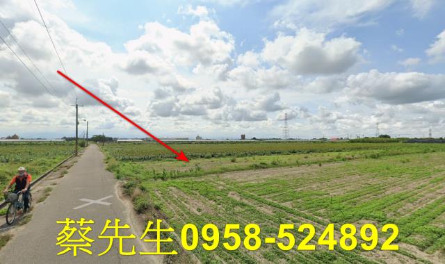 台南農地法拍-13