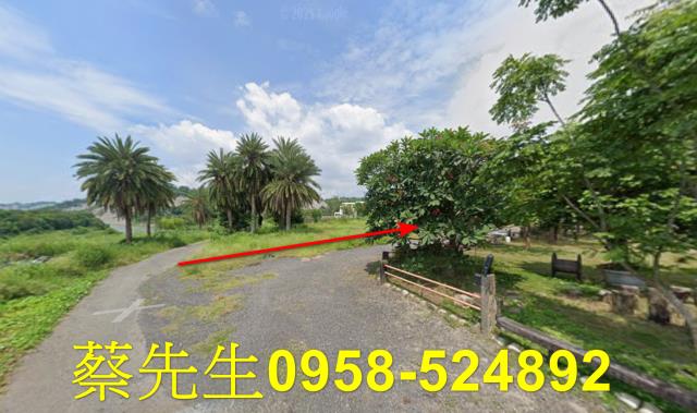 大內法拍農地-11