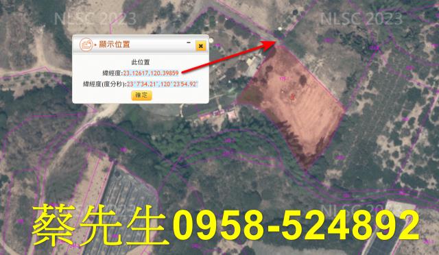 大內法拍農地-3