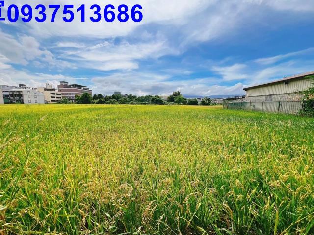 宜蘭壯圍農地-4