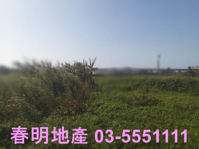 新豐農地-2