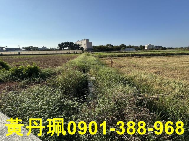 觀音農地-3