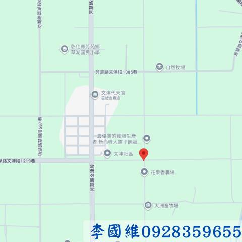 彰化芳苑法拍農地-4