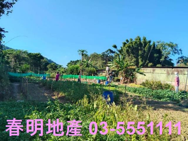 新竹關西農地-11