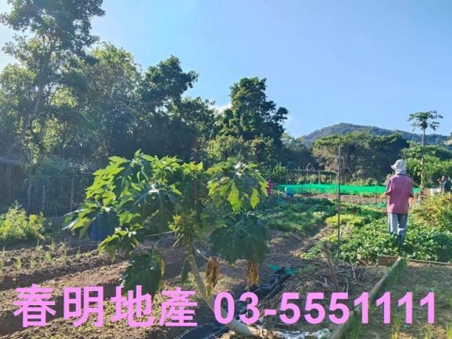 新竹關西農地-12