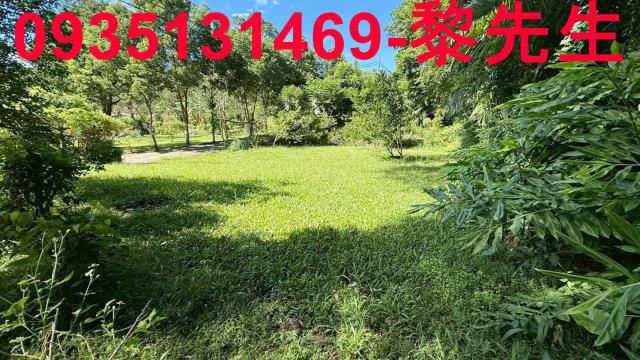 新竹關西農地-7