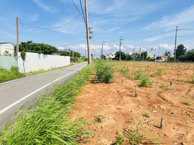 桃園觀音農地-1