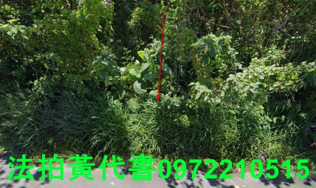 安定法拍農地-1