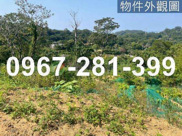 苗栗頭份農地-1