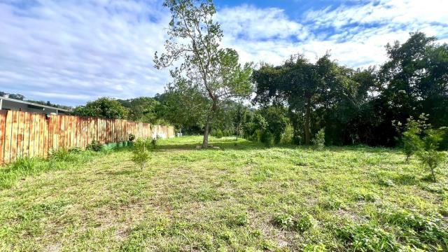 新竹竹東農地-10