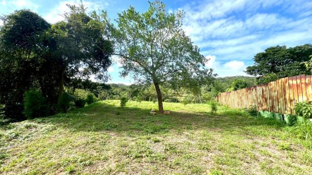 新竹竹東農地-11