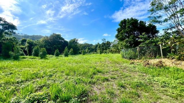 新竹竹東農地-13