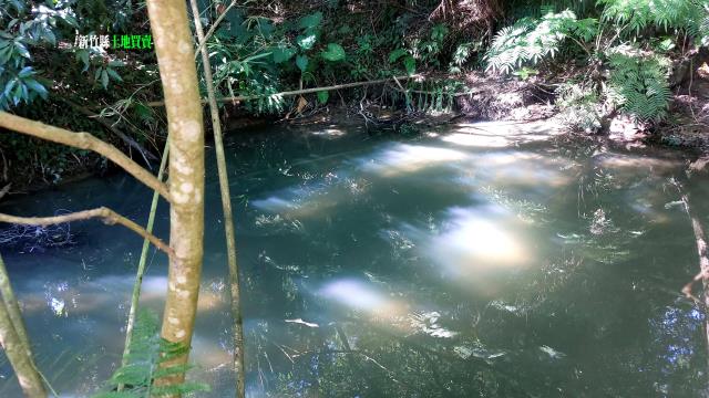 新竹竹東農地-15