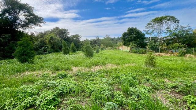 新竹竹東農地-4