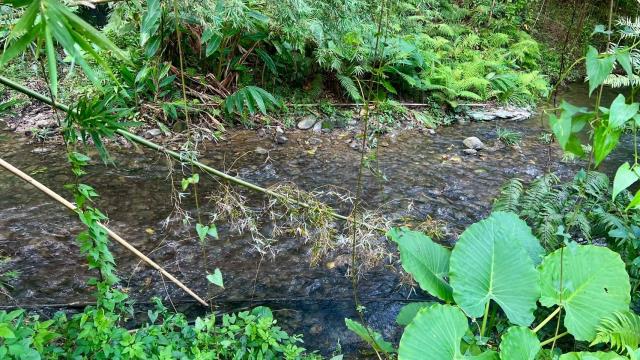 新竹竹東農地-7