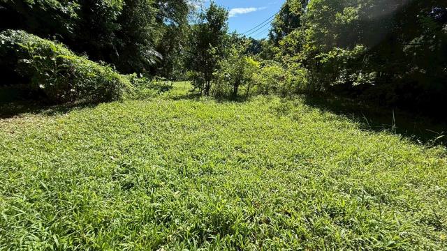 新竹關西農地-10