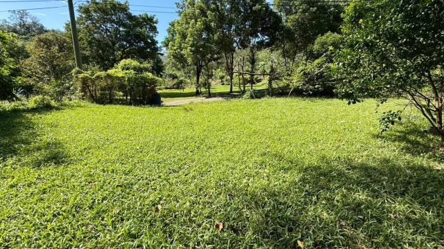 新竹關西農地-9