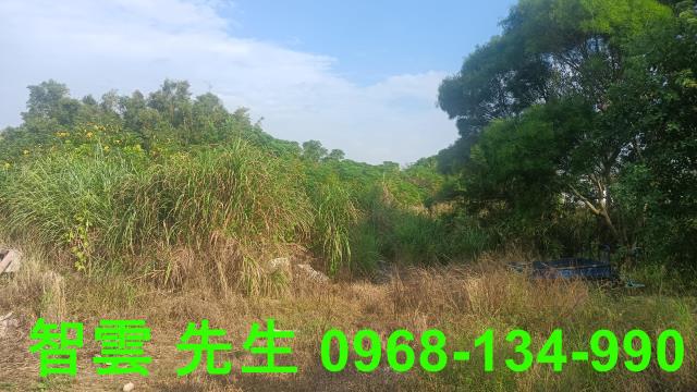 桃園觀音建地-3