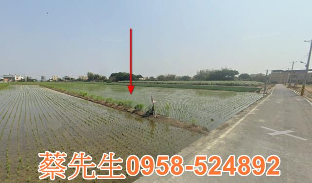 二林法拍農地-12