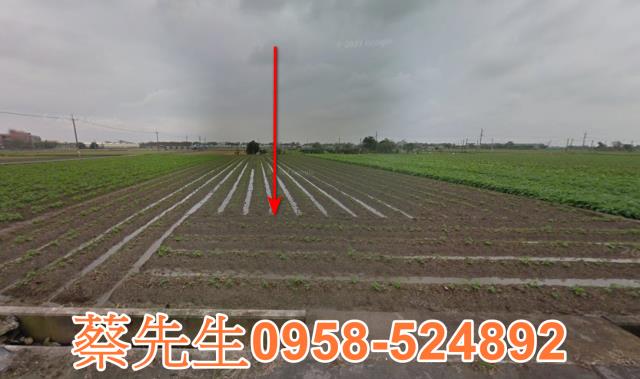 斗南農地法拍-1