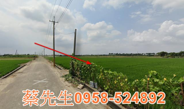 斗南拍賣農地-12