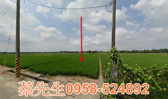 斗南拍賣農地-9