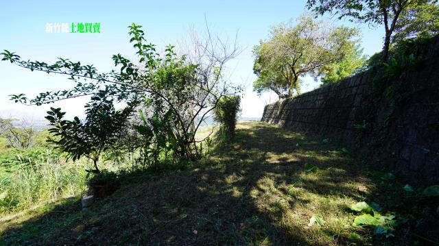 新竹農地-10
