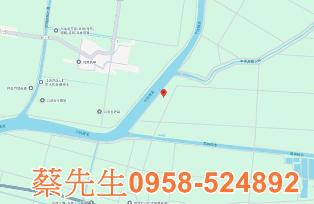 雲林水林法拍農地-8