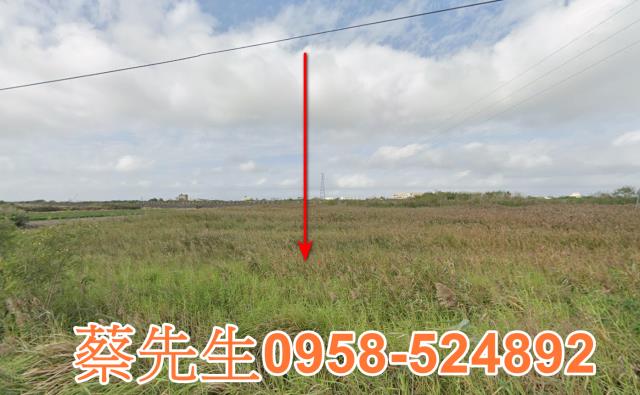 雲林水林法拍農地-9