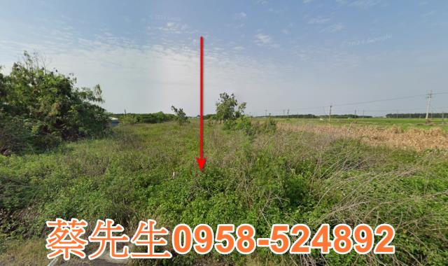 雲林水林法拍農地-1