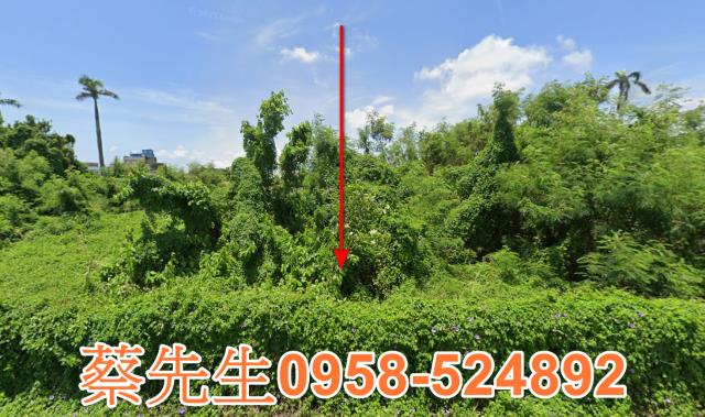 雲林元長法拍農地-1