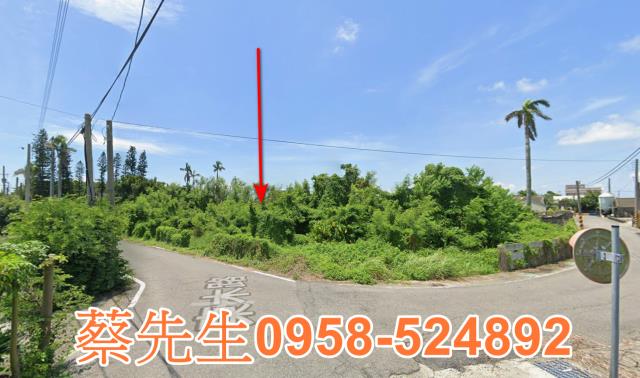 雲林元長法拍農地-5