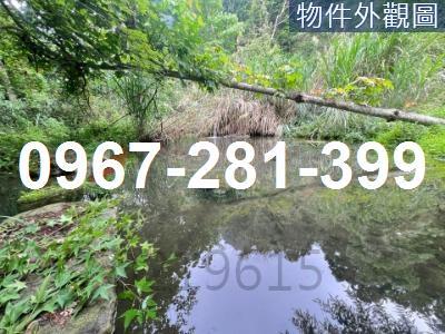 苗栗南庄農地-5