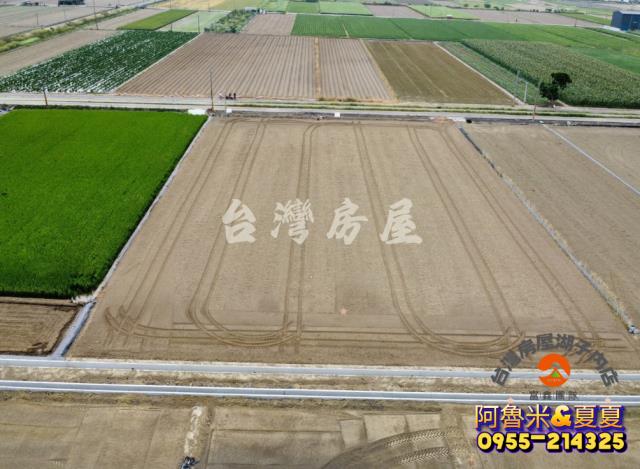 嘉義水上農地-5