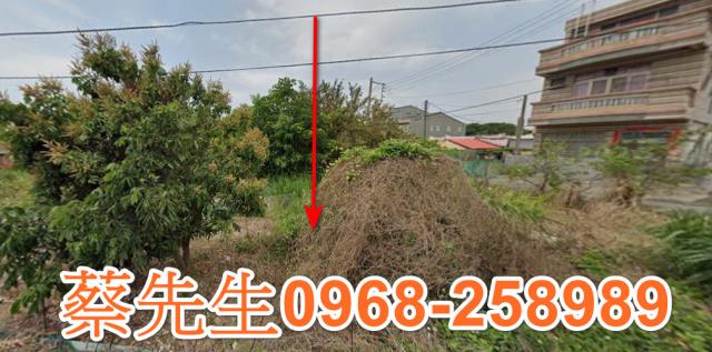 義竹建地法拍-1