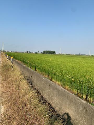 嘉義農地-6