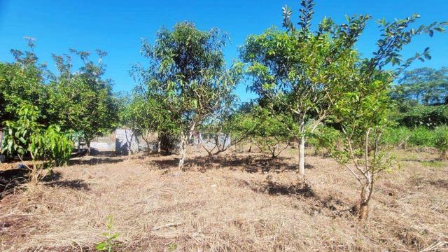 新竹橫山農地-8